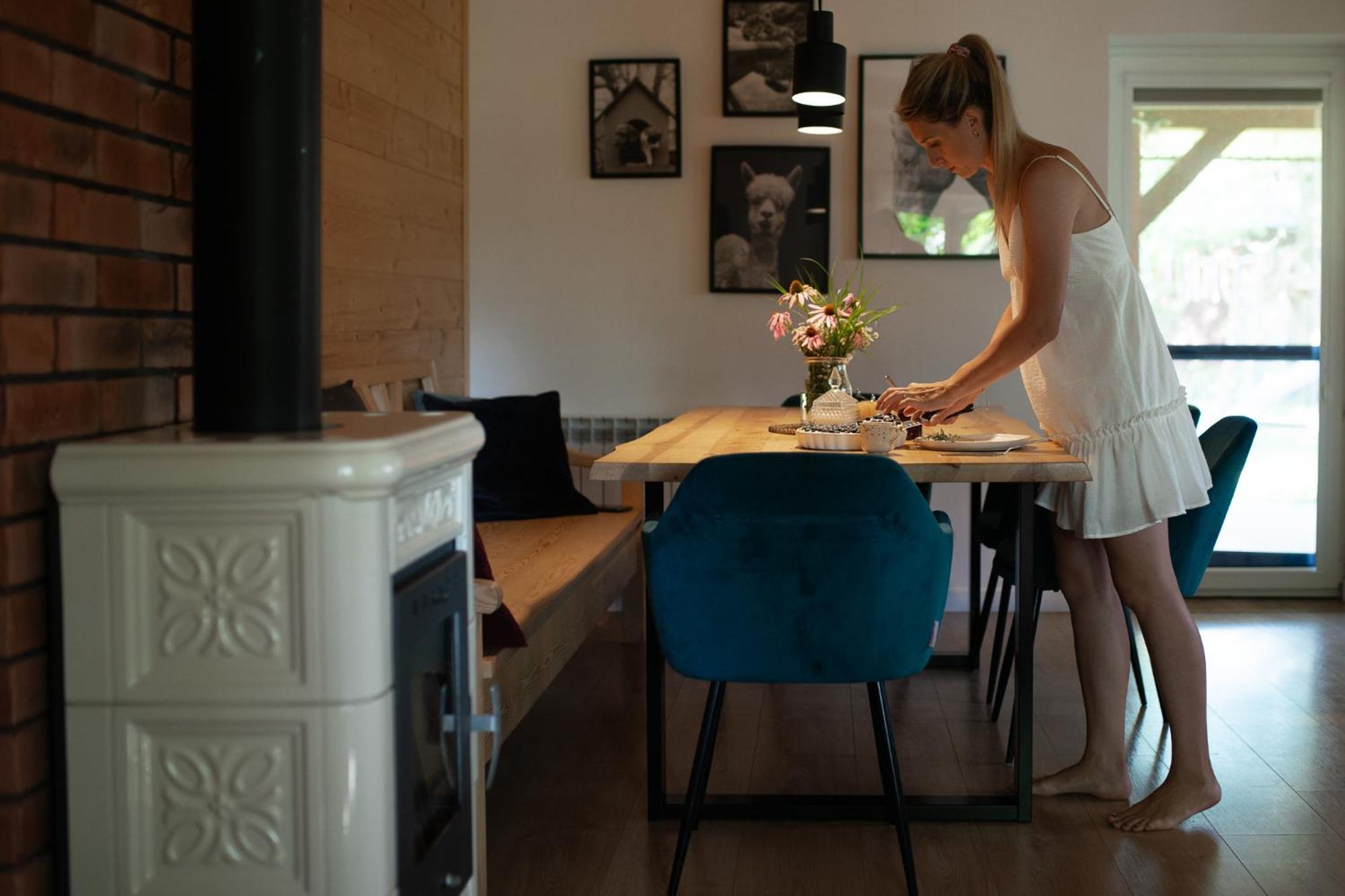 Siedliska Samo Dobro Holiday home *